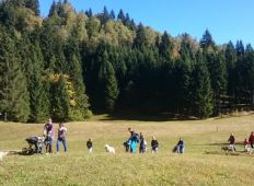 wandern-mit-huskies-gruppe-02