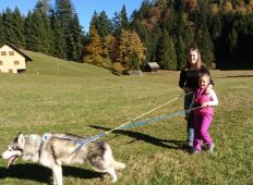 wandern-mit-huskies-gruppe-03