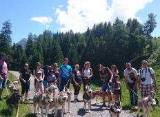 wandern-mit-huskies-gruppe-05