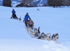 winter-erlebnisse-gruppe-nacht02