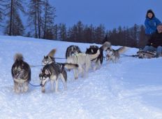 winter-erlebnisse-gruppe-nacht04