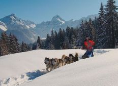 Huskyworkshop_3_Traumhafte_Bergkulisse