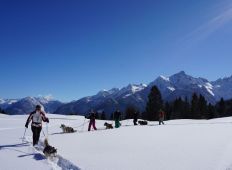 schneeschuh_1