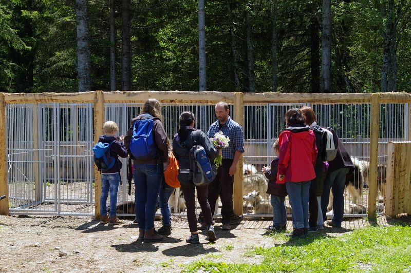 Zweistundenprogramm für Gruppe