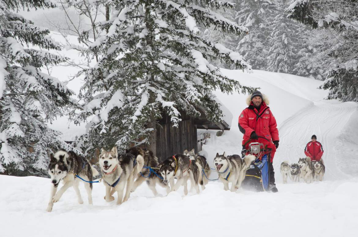 Huskyworkshop