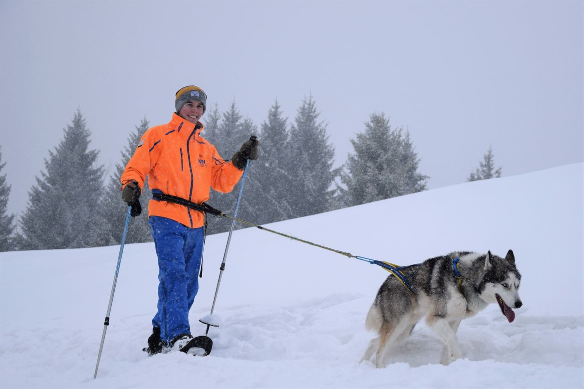 Schneeschuhwanderung mit Huskies