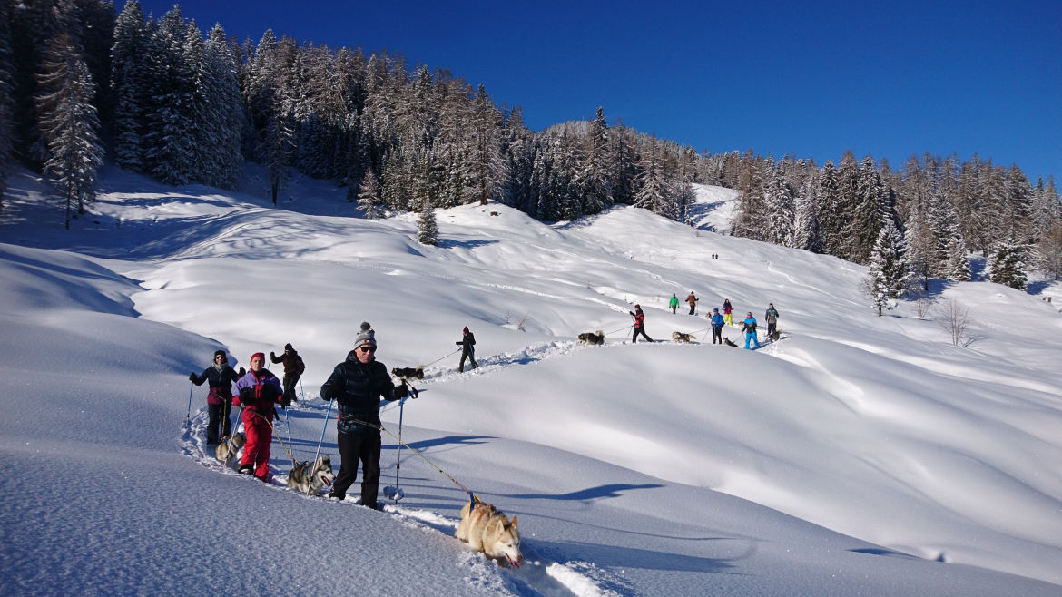 Schneeschuhwanderung mit Huskies (Gruppen)