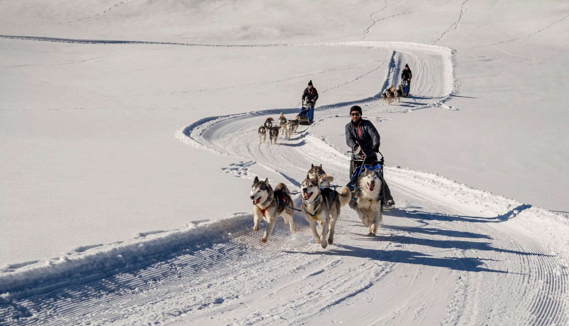 Schlittenhundefahrschule (Gruppe)