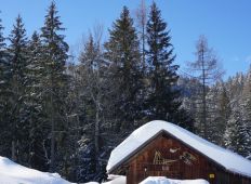 huskycamp_gallery
