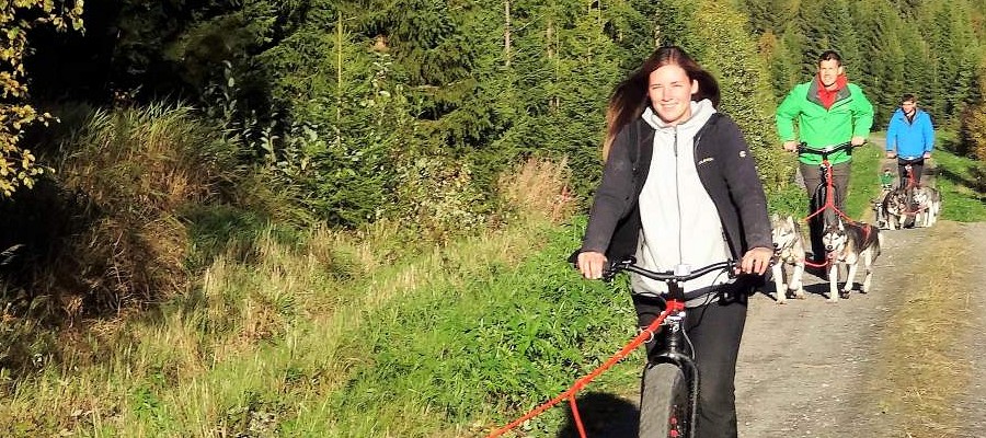 Dogscooterfahren (Gruppe)