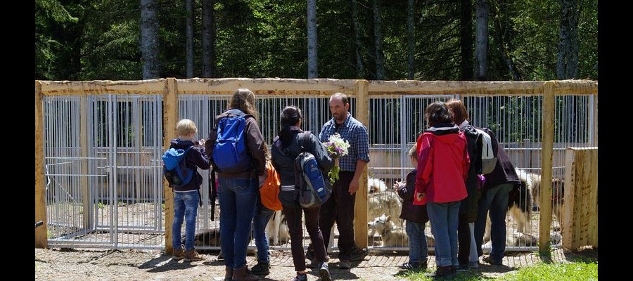Zweistundenprogramm (Gruppe)