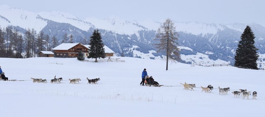 Erlebnis Schlittenhunde  