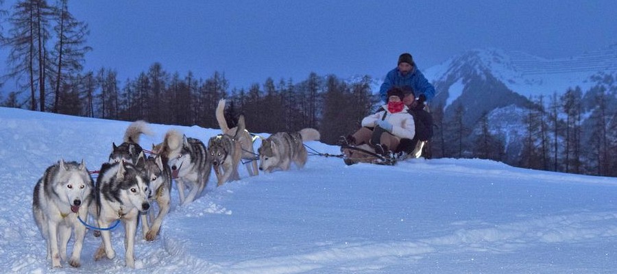 Erlebnis Schlittenhunde bei Nacht 