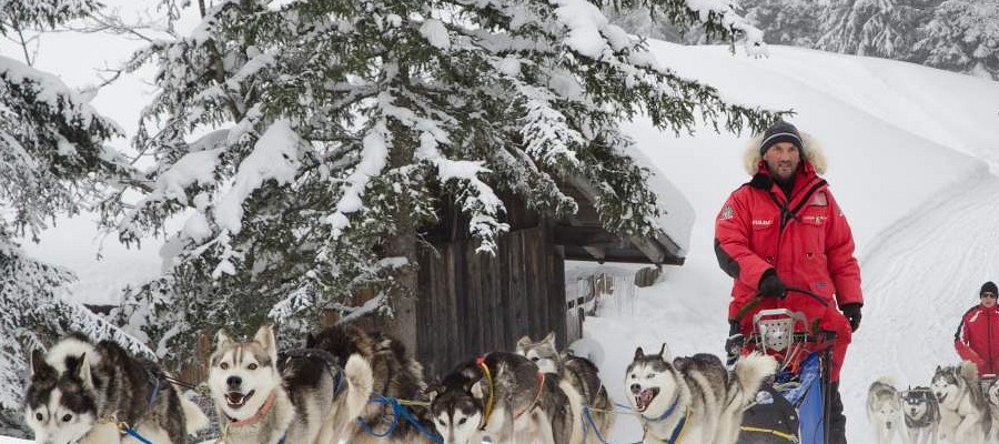 Huskyworkshop