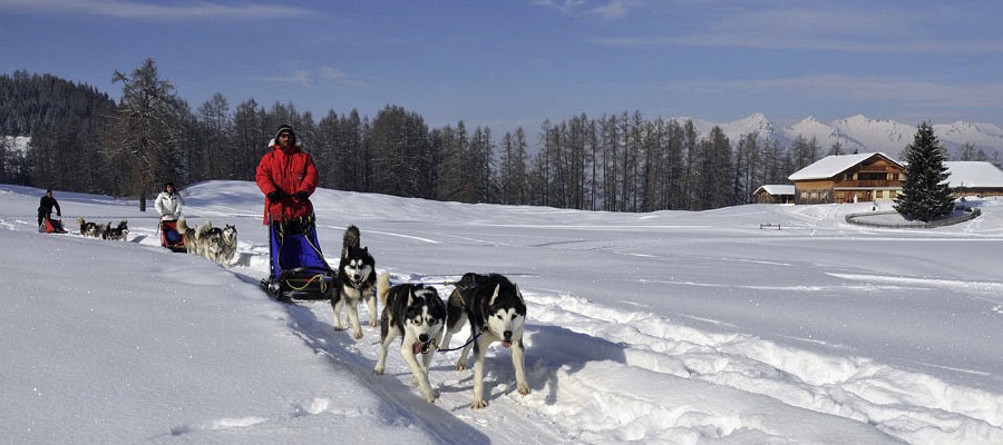 Schlittenhundefahrschule 