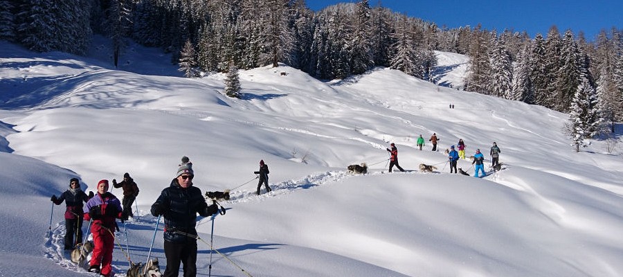 Schneeschuhwanderung mit Huskies  