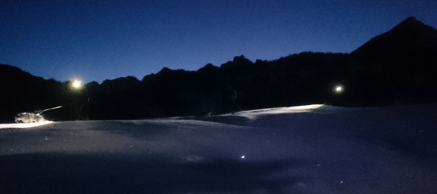 Schneeschuhwanderung mit Huskies - Dämmerung / Nacht (Gruppe)