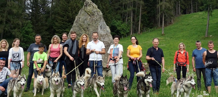 Workshop und Wanderung mit Huskies 
