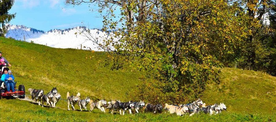 Wagenfahrt (Gruppe)